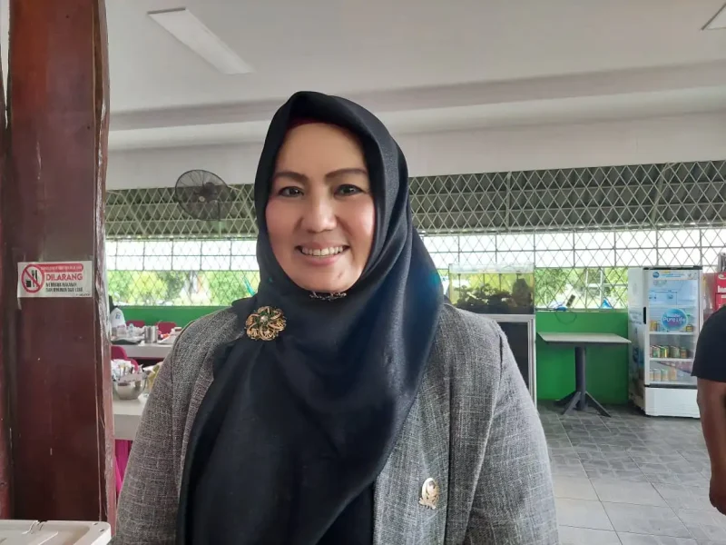 Hellyana Wakil Gubernur Bangka Belitung Terpilih