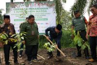 Penanaman 1 juta pohon Matoa di Deli Serdang. Foto: Ist