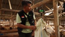 Tak Sekadar Kurban, Dompet Dhuafa Waspada Tegaskan Pentingnya Quality Control. Foto: Ist