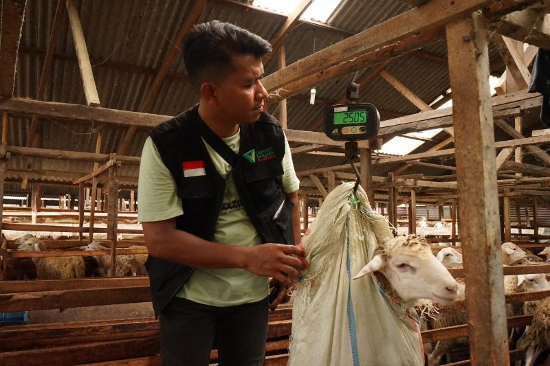 Tak Sekadar Kurban, Dompet Dhuafa Waspada Tegaskan Pentingnya Quality Control. Foto: Ist